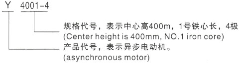 西安泰富西玛Y系列(H355-1000)高压JR116-6三相异步电机型号说明