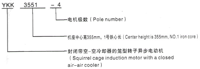 YKK系列(H355-1000)高压JR116-6三相异步电机西安泰富西玛电机型号说明